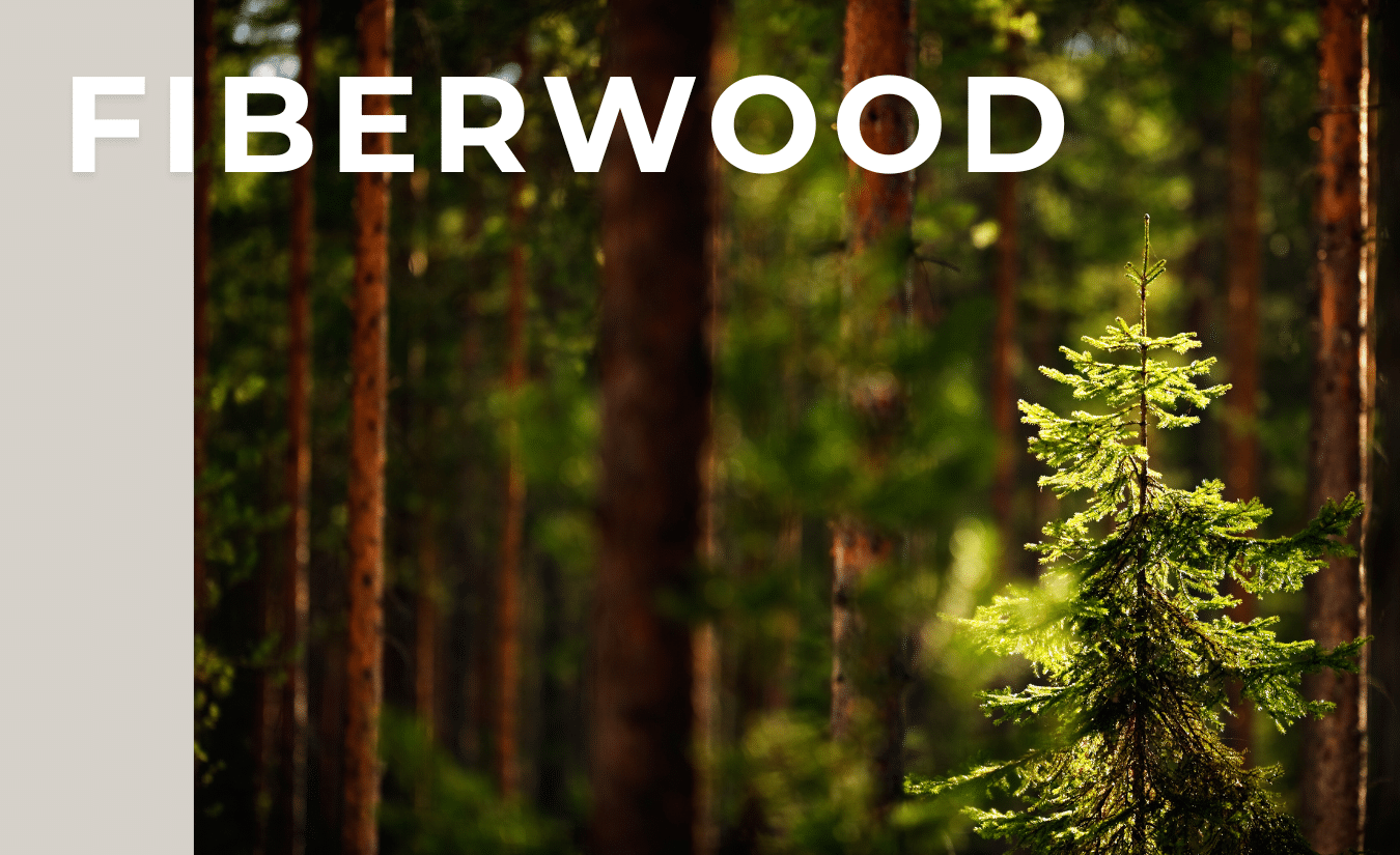Proudly Canadian – Inspired by Nature, Built with Innovation | FiberWood Young evergreen tree in a vibrant Canadian forest, symbolizing sustainable wood composite values.