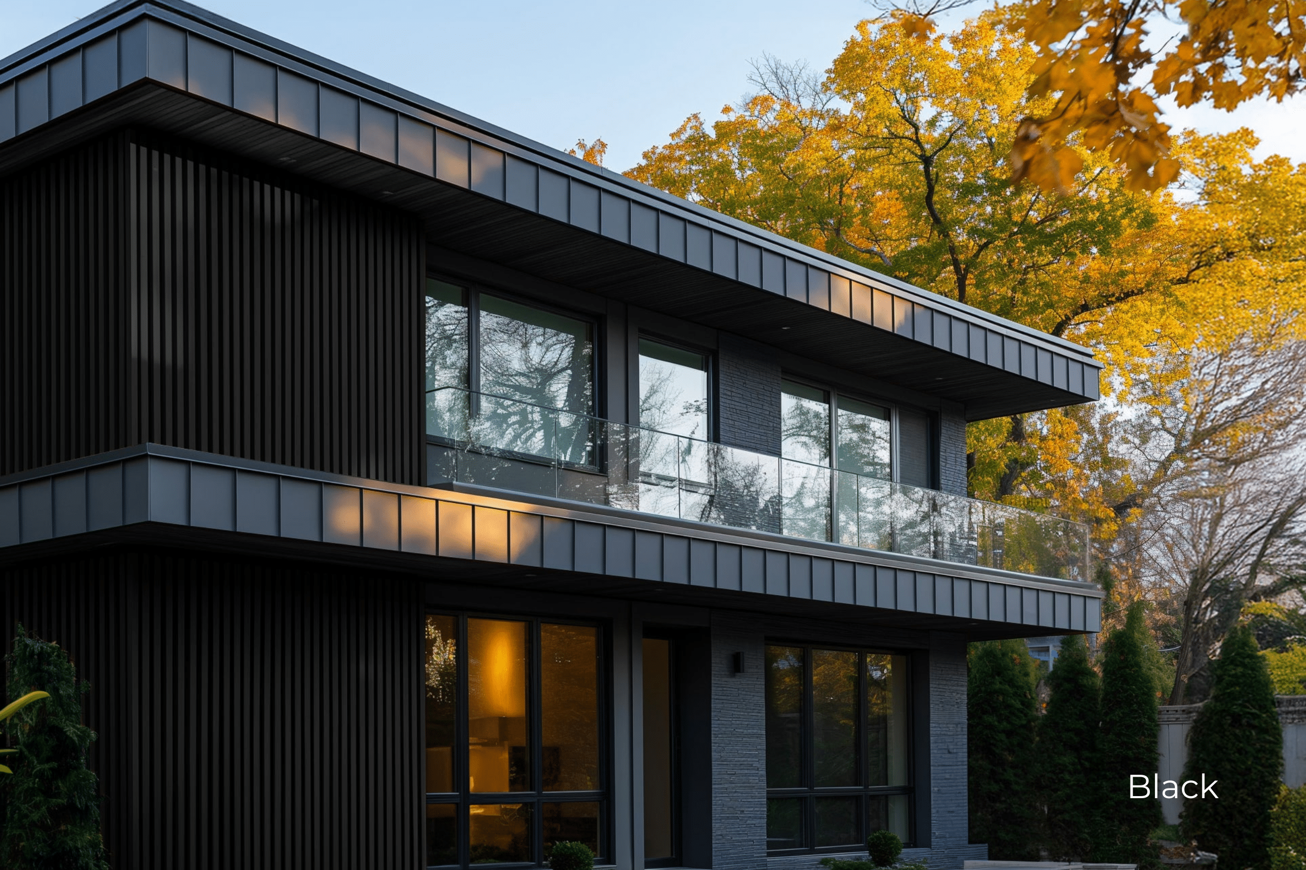 cladding royal - noir-1