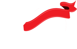 20-eme-anniversaire-icone
