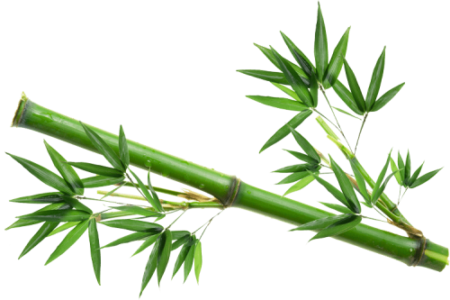 Fence-Bambou-Icone Fence-Bambou-Icone
